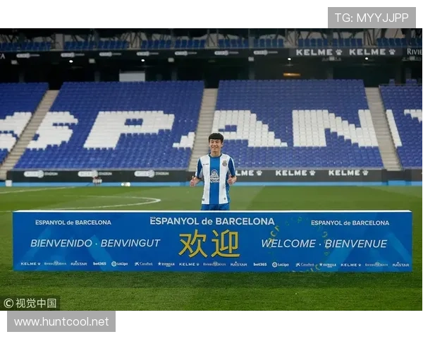 国内最挣体育联赛（最受欢迎的体育联赛）sports